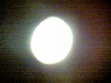 Luna.JPG.6b466e55eb79e27021131cd4db212c8