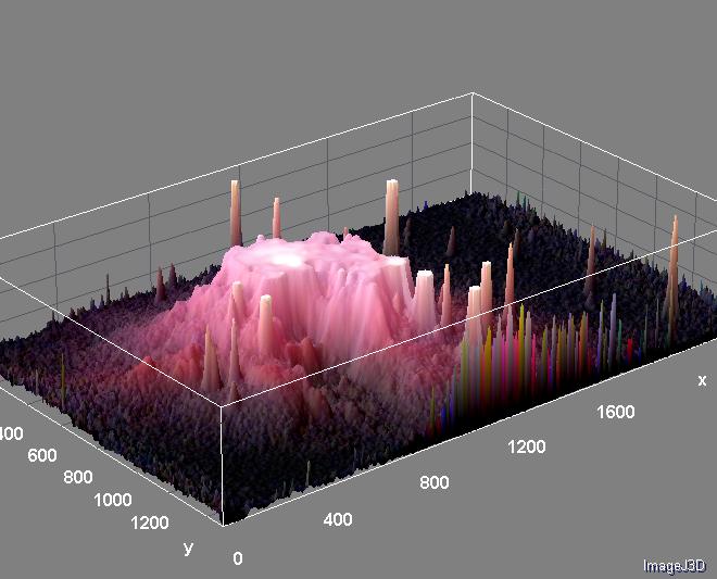 Surface_Plot_of_M42_Btjpg_filtered.jpg.0