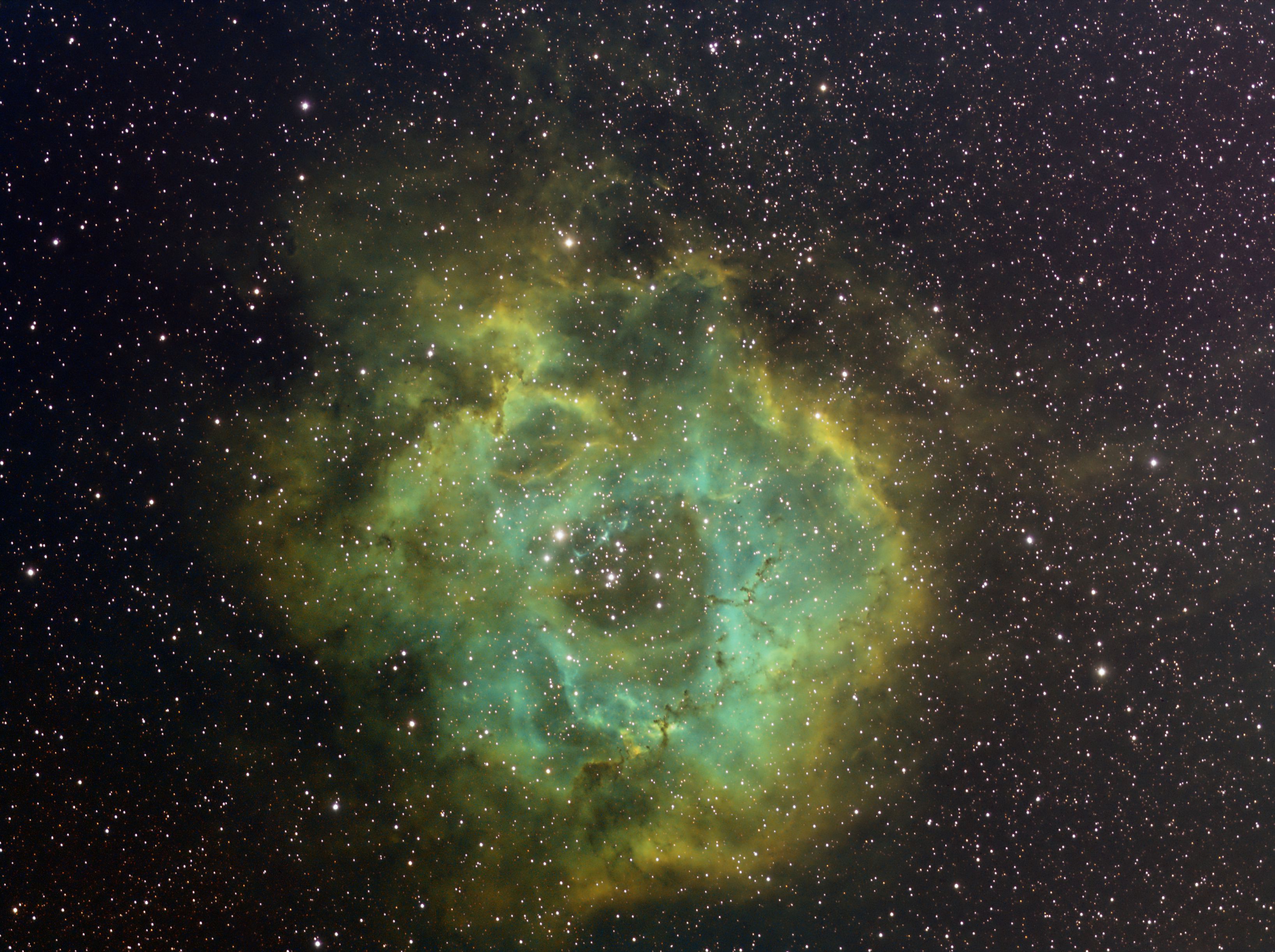 NGC2237_SHO_PI_3_NR.jpg