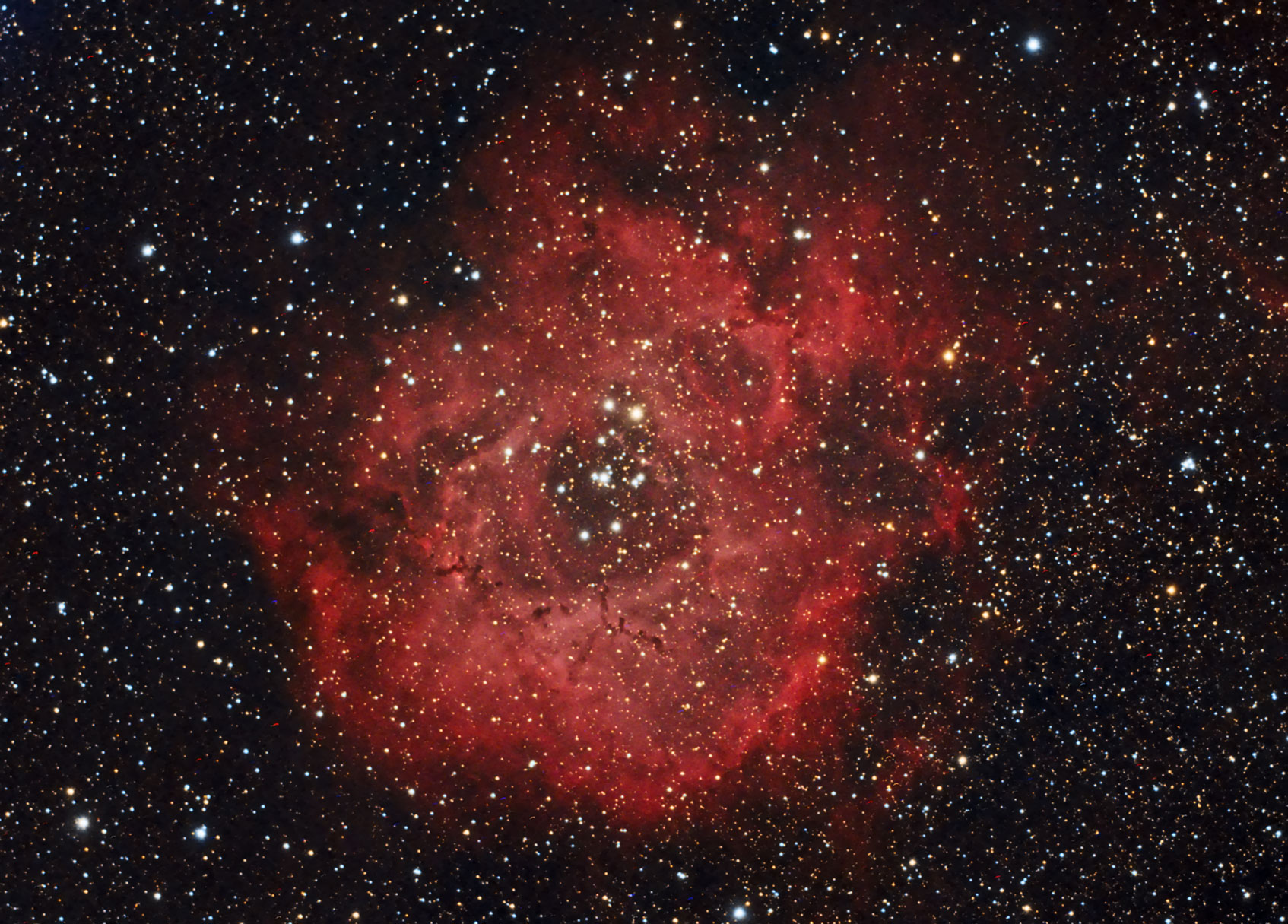 Roseta_DSS_CROP_DBE_CC_HT_HDR_ACDNR_HT_SAT_8_PS_RZ70_WEB.jpg