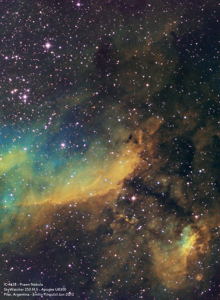 IC4628_SHO_ver2.jpg