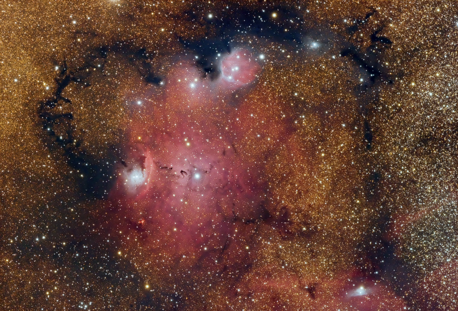 NGC6559.JPG.5db9ec863a4a3ce4b97261fc5ffa
