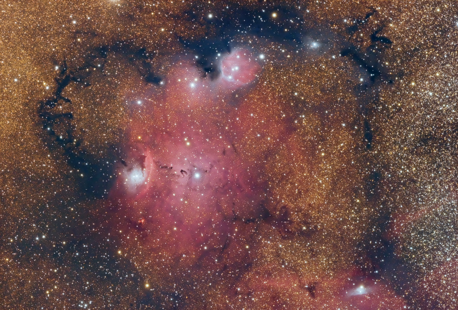 NGC6559.JPG.fd10e3111c5330f3f5fd6dca2f90