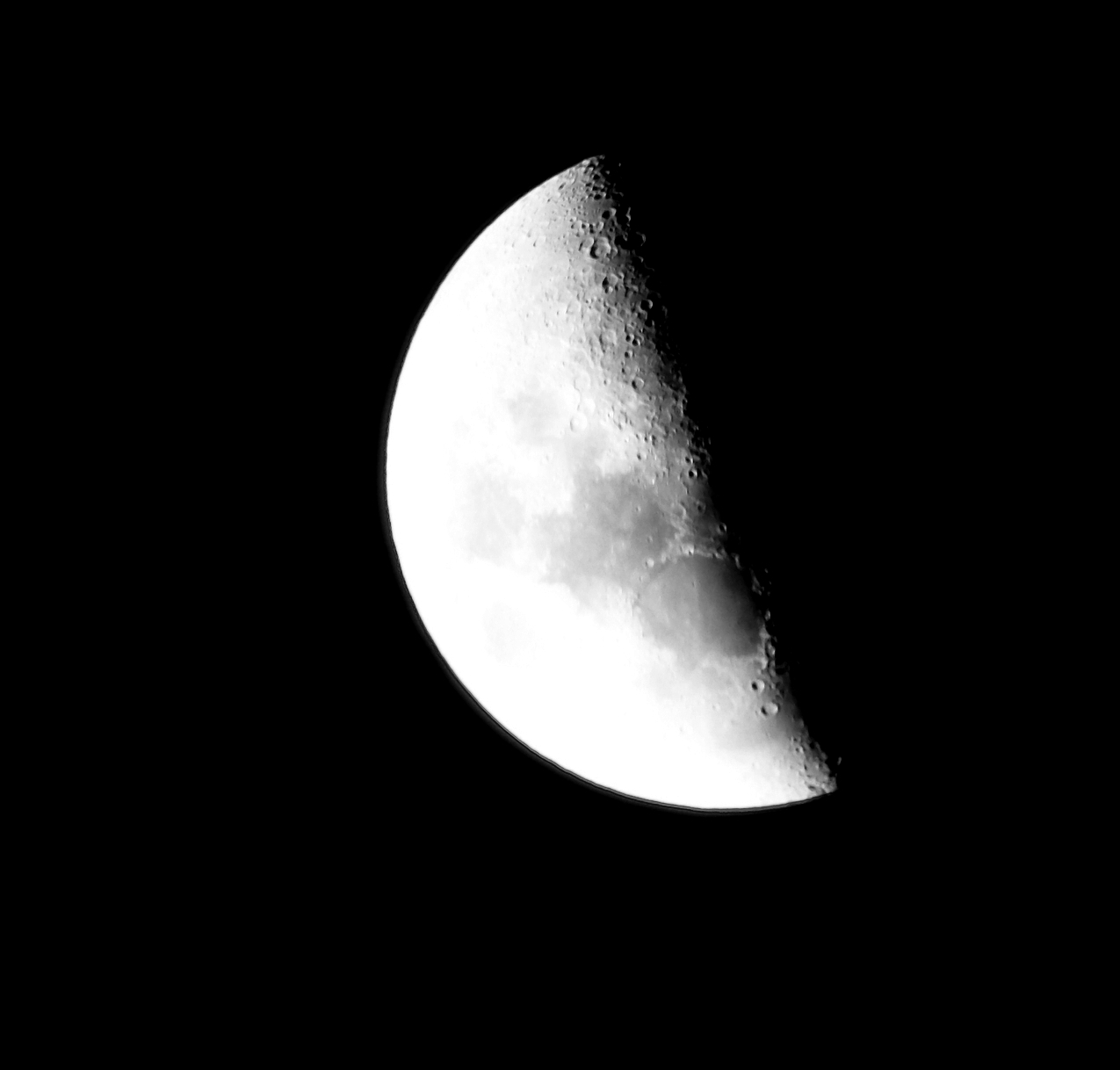 moonfli.jpg.f05e249b37d67a398af4b0948525
