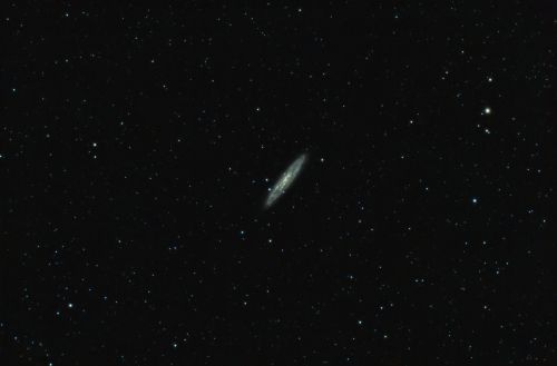 ngc253.jpg