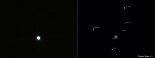 Urano y sus lunas 1.jpg