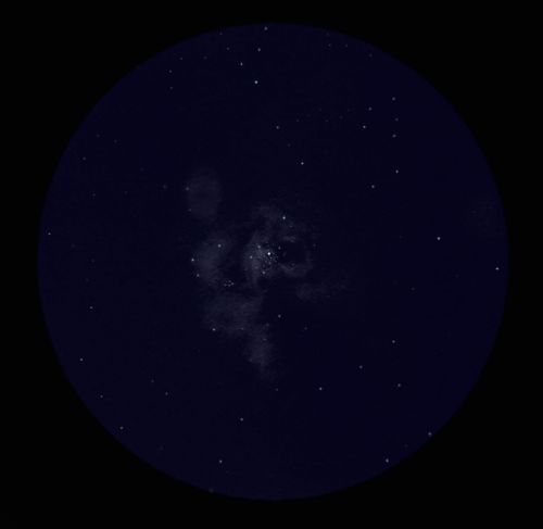 Tarántula - NGC 2070.jpg