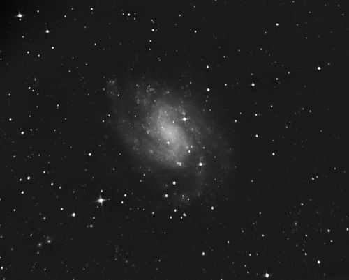 NGC 300.jpg