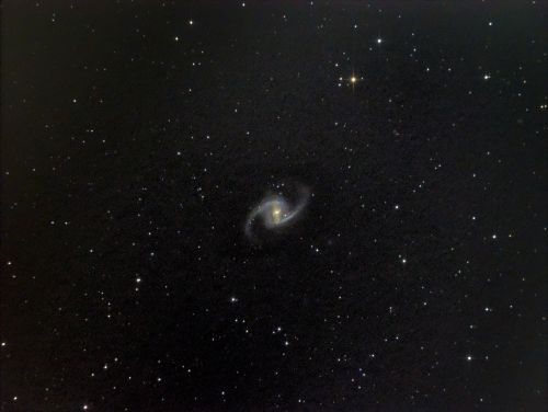 ngc1365final.jpg