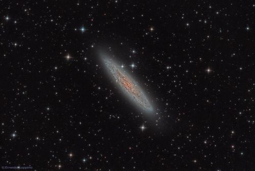 NGC253.jpg