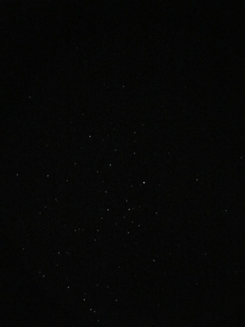05.JPG