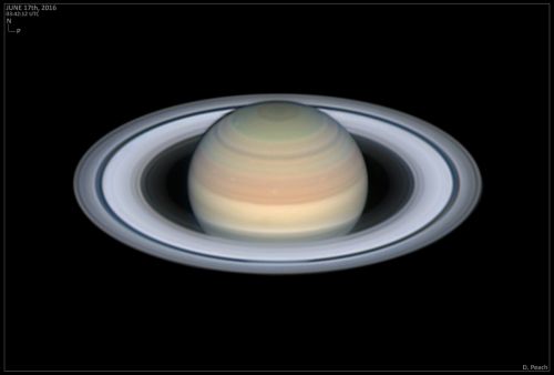 Saturno Damian Peach.jpg