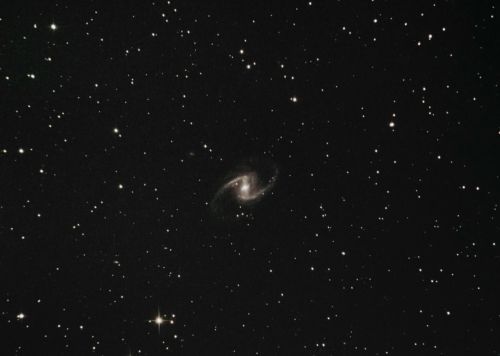 ngc1365 40min campo.jpg