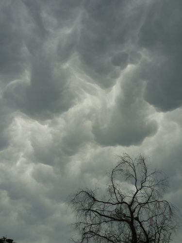 Nubes 1.JPG