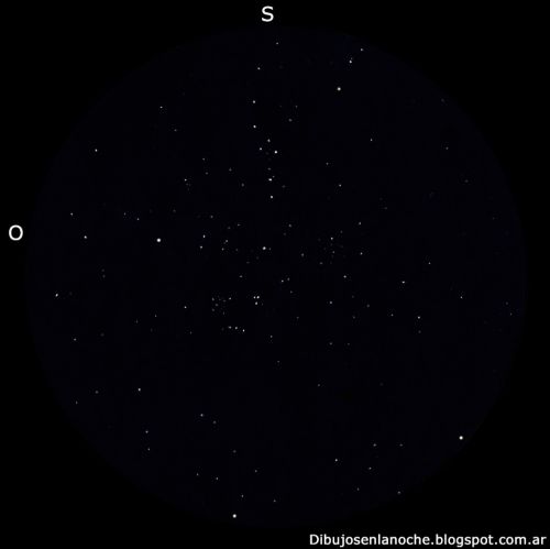 Messier 38 - Cúmulo estrella de mar.jpg