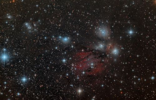 NGC2170_1800.thumb.jpg.6e038a8d2cedf73cc7d14c95045816a6.jpg