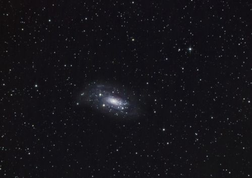 ngc3621.jpg