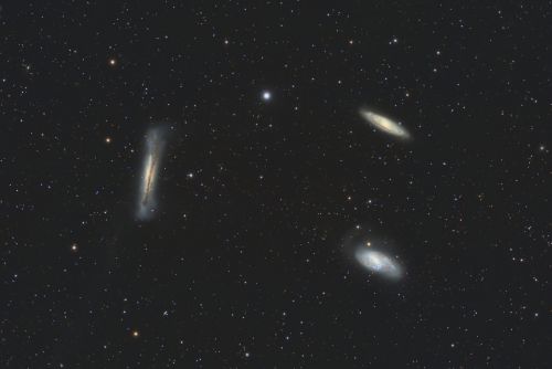 TripleteLeo.JPG