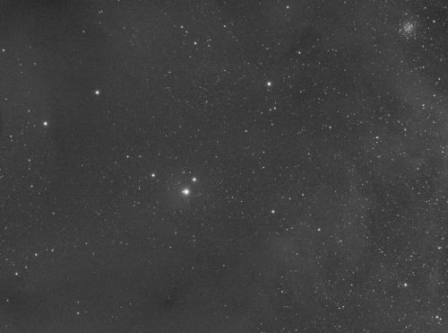 IC4605.jpg