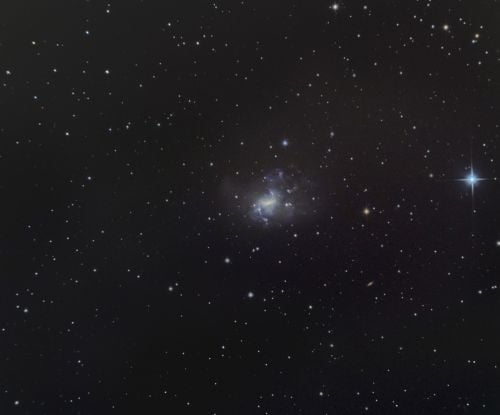 ngc1313.jpg