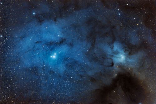 IC4604_clone5.jpg