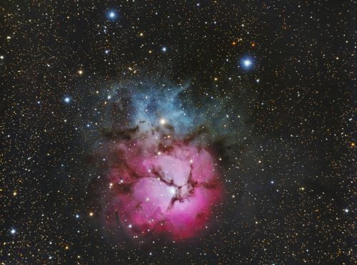 Trifid_final.jpg.978a3413ca8b66dc695c4a68e8592cfe-2.jpg