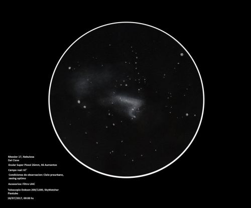 596e28f54fd78_swannebulaeditado.thumb.jpg.8939bce84ceea516935fce62da7f709f.jpg