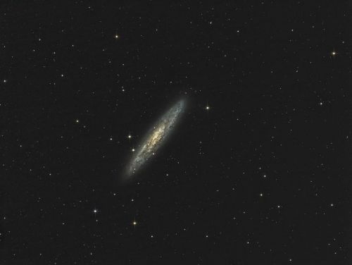 ngc253 (2).jpg