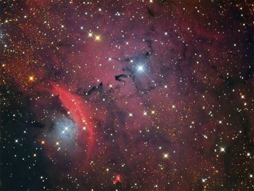 NGC6559_EP.jpg
