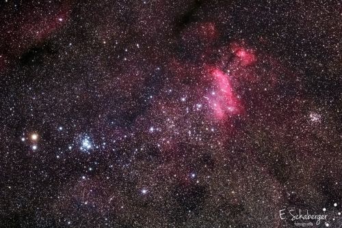 Prawn-nebula-web.jpg