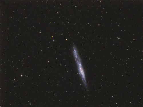 ngc55.jpg