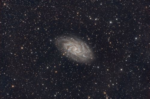 m33the-triangulum-pinwheel-galaxy_med.thumb.jpg.eeb283fa2ec825e4e3f26dbf5f22b93c.jpg