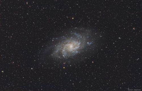 M33.jpg