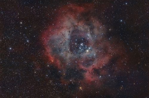 NGC2237.jpg