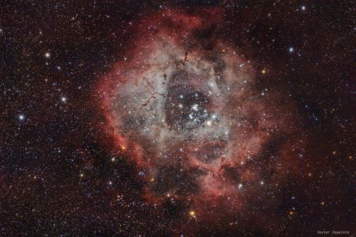 NGC2237_final3.jpg