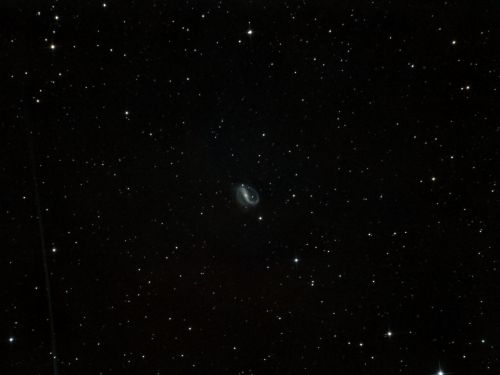 5a2753cca186e_NGC7479.thumb.jpg.1c95d2d8b9eef20c8f1dd4a0d643e473.jpg
