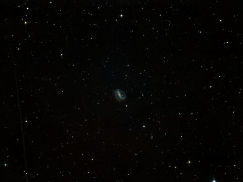 5a2759f268c2e_NGC7479.thumb.jpg.24b0a98dbabaaf6a4dd26ffec5f898c3.jpg