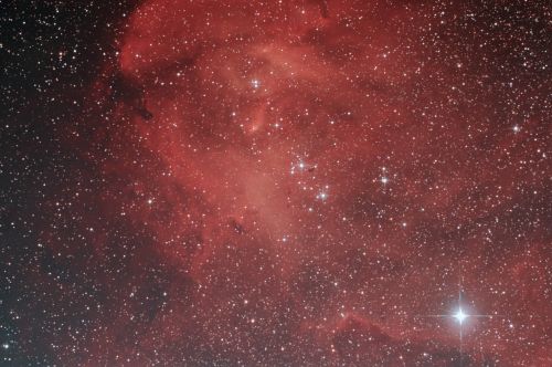 IC2944.jpg