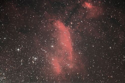 Nebulosa de la gamba.jpg