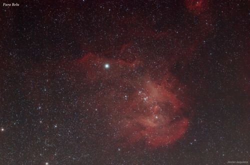 IC2944_belu.jpg