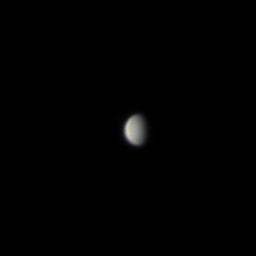 973668826_MVI_8123_Venus2.jpg.a175c8f4a1df02a111597e83dfb117da.jpg