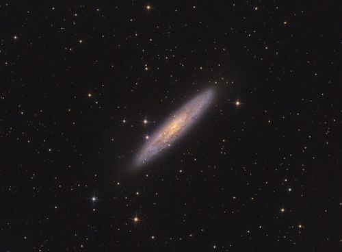 ngc253_foro.thumb.jpg.84899bc8acd391788d57880407b3cff6.jpg