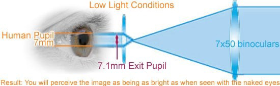 exit-pupil-eyes-optics-7x50-dark.jpg.af373ea0e362aa02f98b177e0c83d177.jpg