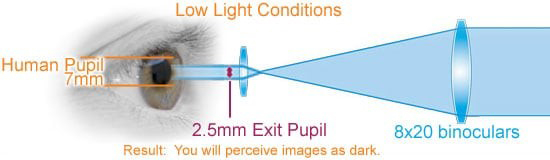 exit-pupil-eyes-optics-8x20-dark.jpg.9a3f363798602fe161afdfa0c6dcb50c.jpg