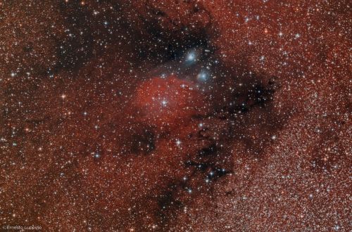 IC1283_1800.thumb.jpg.a8b06c142fe25aaa167b2bf8e4838f2f.jpg