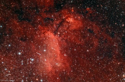 IC4628_1800.thumb.jpg.383379a9c59e05a368a1f71eada1cd54.jpg