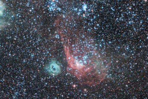 NGC2020_NGC2014.thumb.jpg.20a47fdb1067c319e45de7e15933e648.jpg