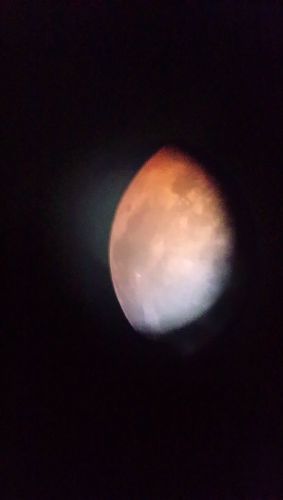 DSC_0424.JPG