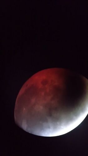 DSC_0428.JPG