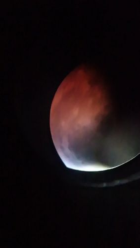 DSC_0431.JPG